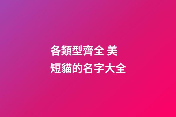 各類型齊全 美短貓的名字大全